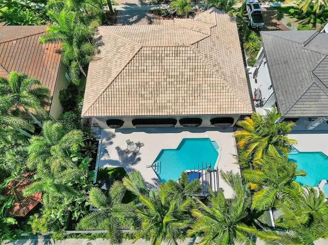a view of a garden with plants