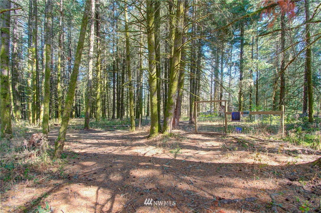 595 Nevil Road Winlock, WA 98596 - Photo 26 of 34 a view of backyard with green space