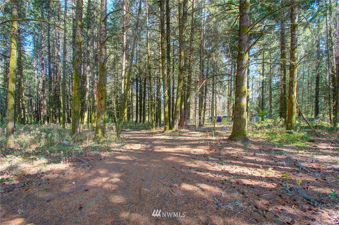 595 Nevil Road Winlock, WA 98596 - Photo 28 of 34 a view of outdoor space with green space