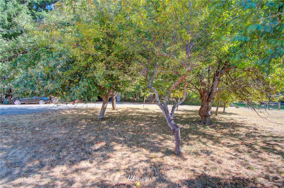 595 Nevil Road Winlock, WA 98596 - Photo 32 of 34 a view of outdoor space and trees