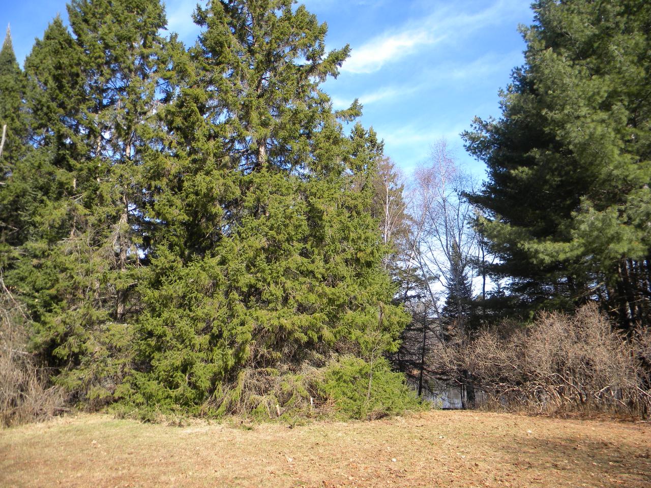 On Fawn Lake Road Hazelhurst, WI 54531 - Photo 11 of 12 Gallery Image 11
