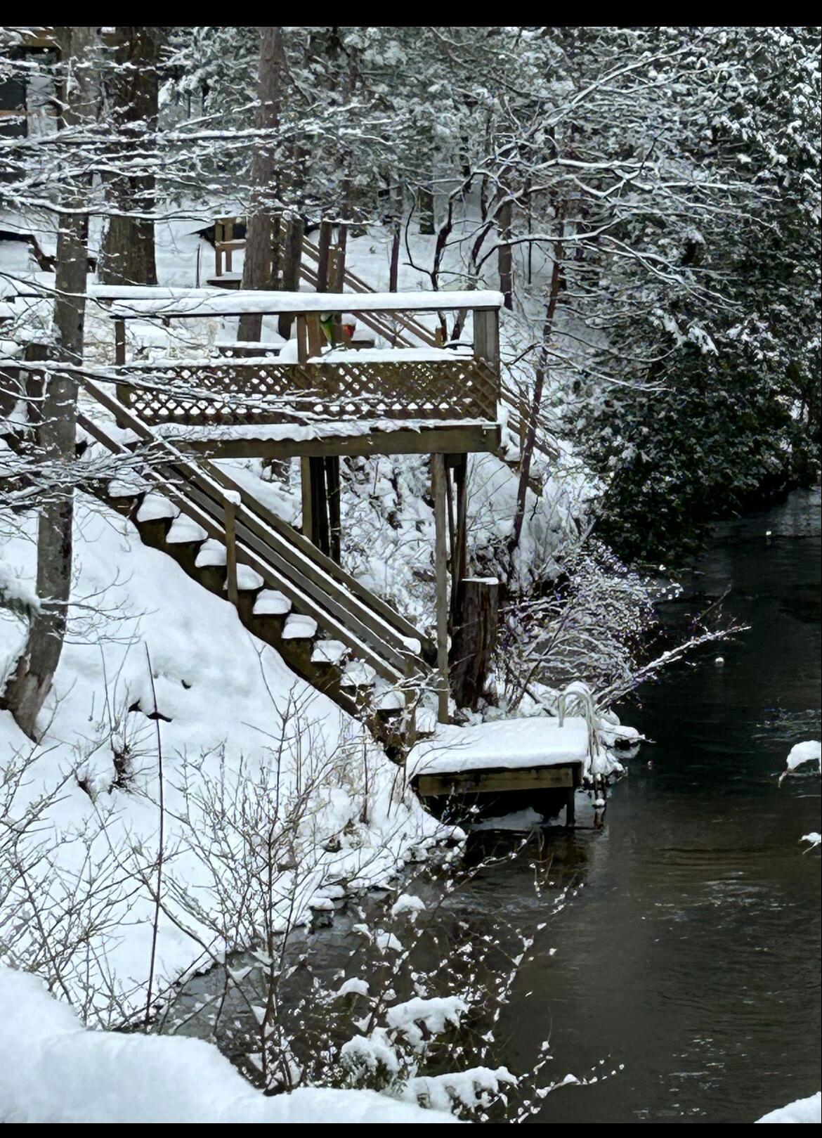 9629 North Kings Point Irons, MI 49644 - Photo 37 of 39 Great Deck & Dock