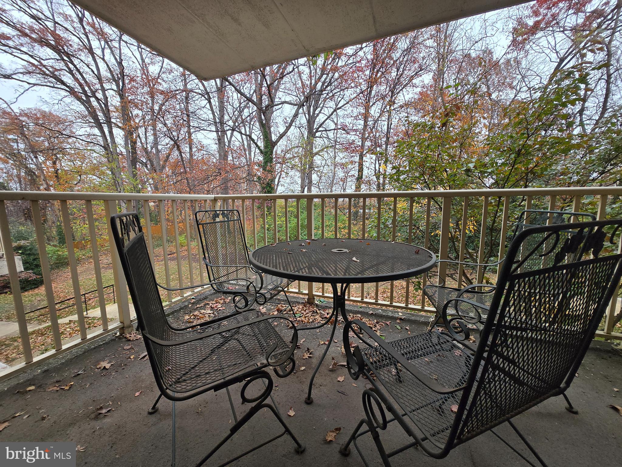 2614 Fort Farnsworth Road, Unit 254 Alexandria, VA 22303 - Photo 11 of 11 a view of a chairs and table in patio