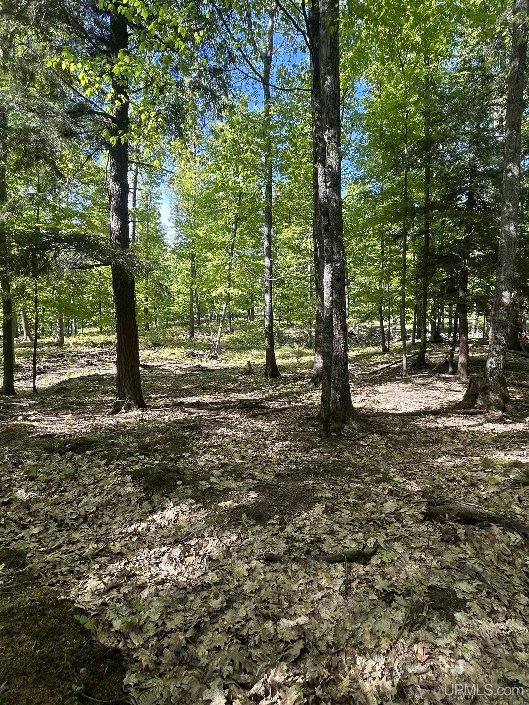 Tbd McClure Dm Road Negaunee, MI 49866 - Photo 6 of 16