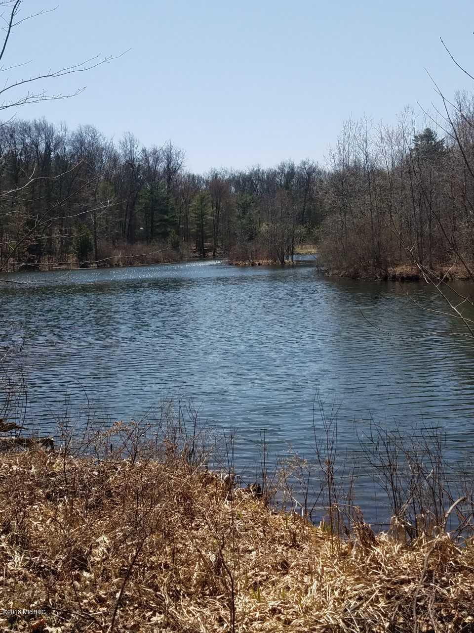8089 Holton Road Holton, MI 49425 - Photo 28 of 41 download (28)