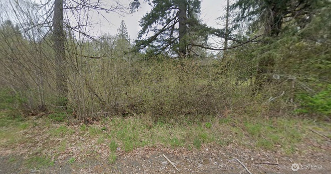 5 West Cloquallum Road Shelton, WA 98584 - Photo 3 of 14