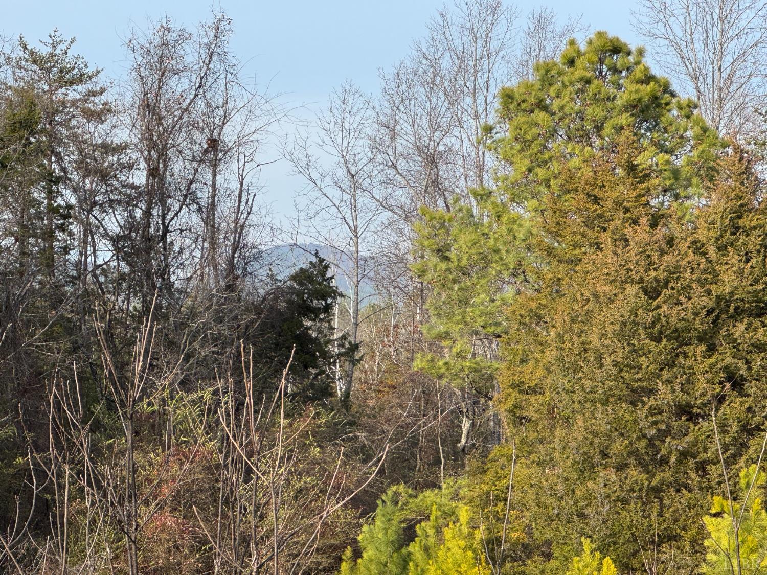 0 Watt Abbitt Road Appomattox, VA 24522 - Photo 2 of 10