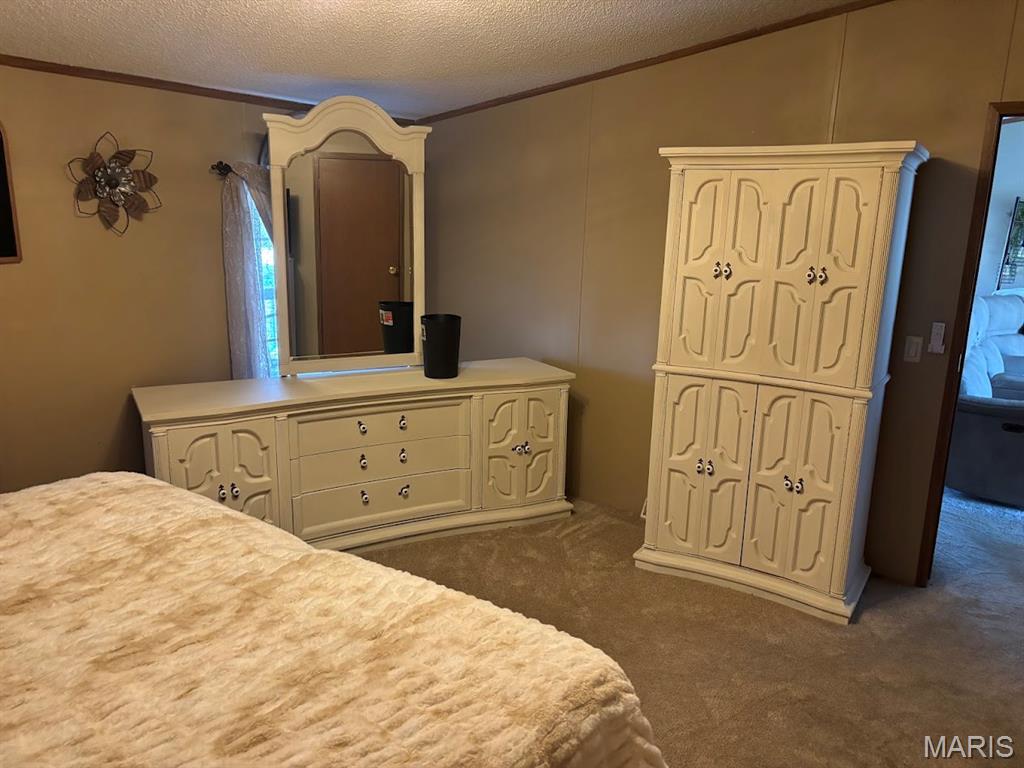 1248 Community Beach Road Odin, IL 62870 - Photo 13 of 22 Gallery Image 13