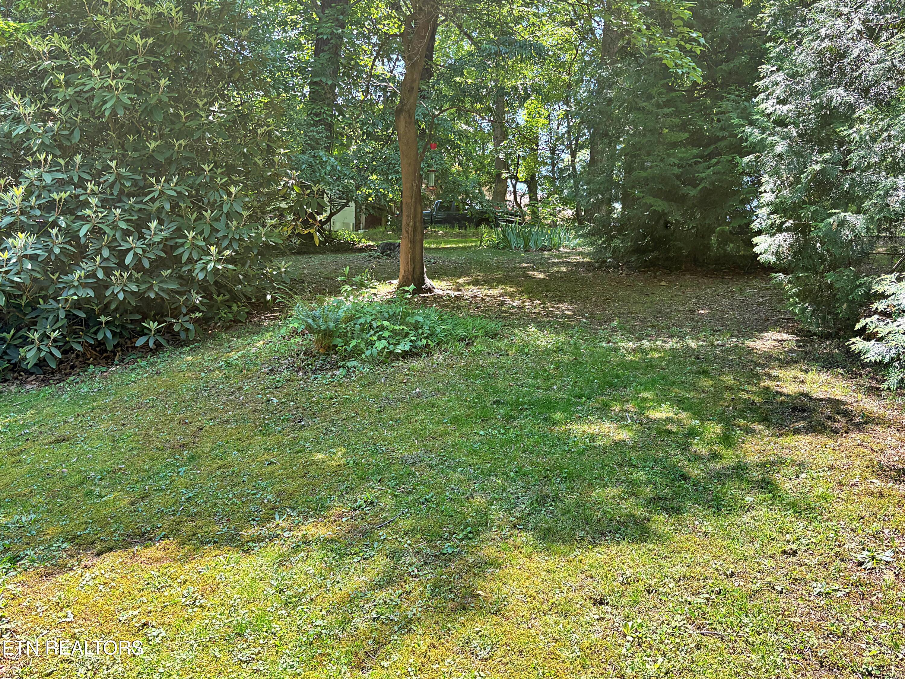 129 Jefferson Street Harrogate, TN 37752 - Photo 22 of 51 IMG_3414