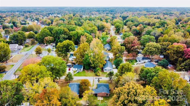a view of a bunch of flowers