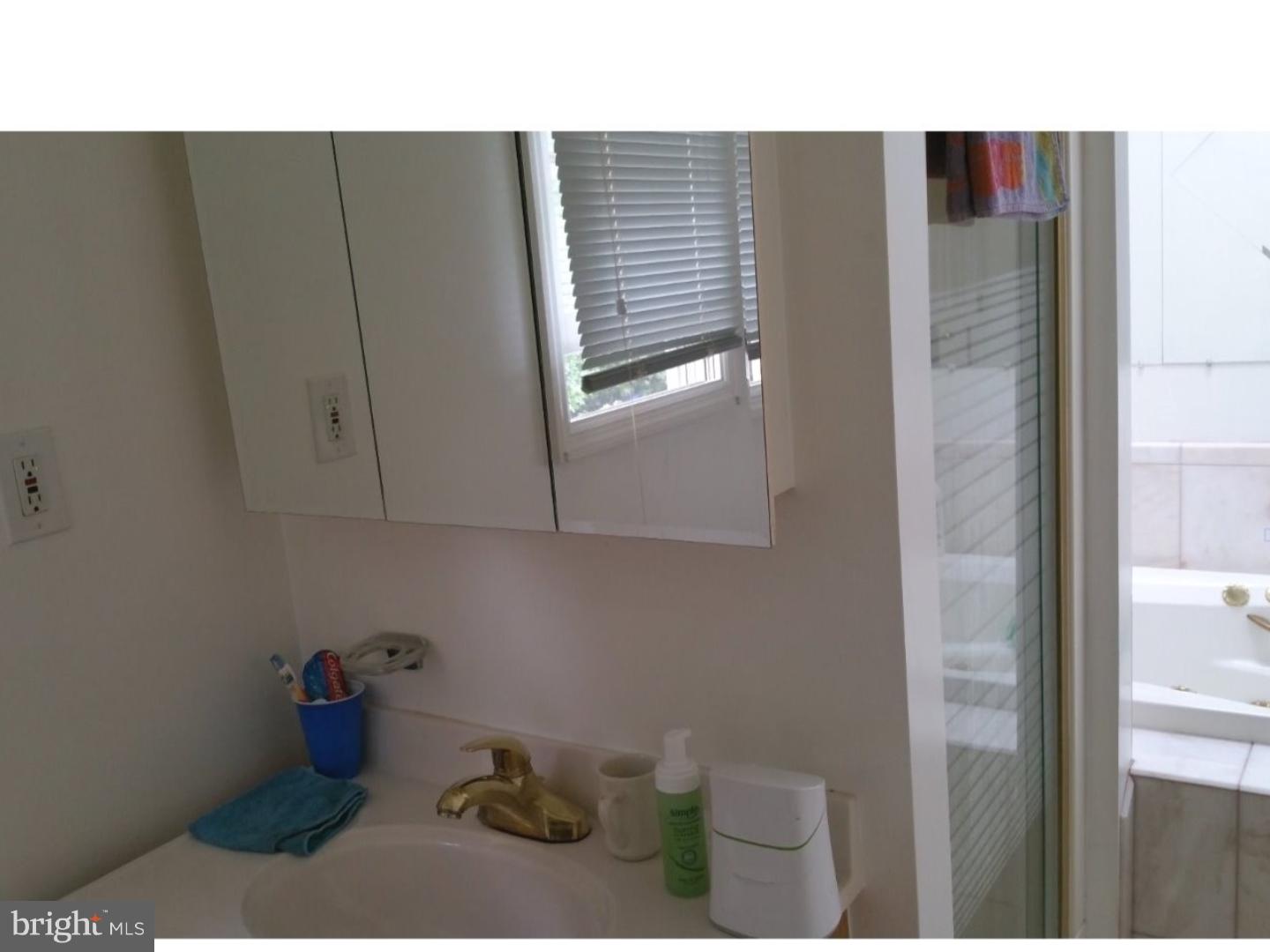 131 Mill Road Norristown, PA 19401 - Photo 16 of 25 Bathroom