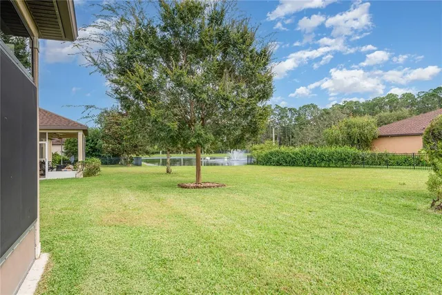 a swimming pool with lots of tress in the background