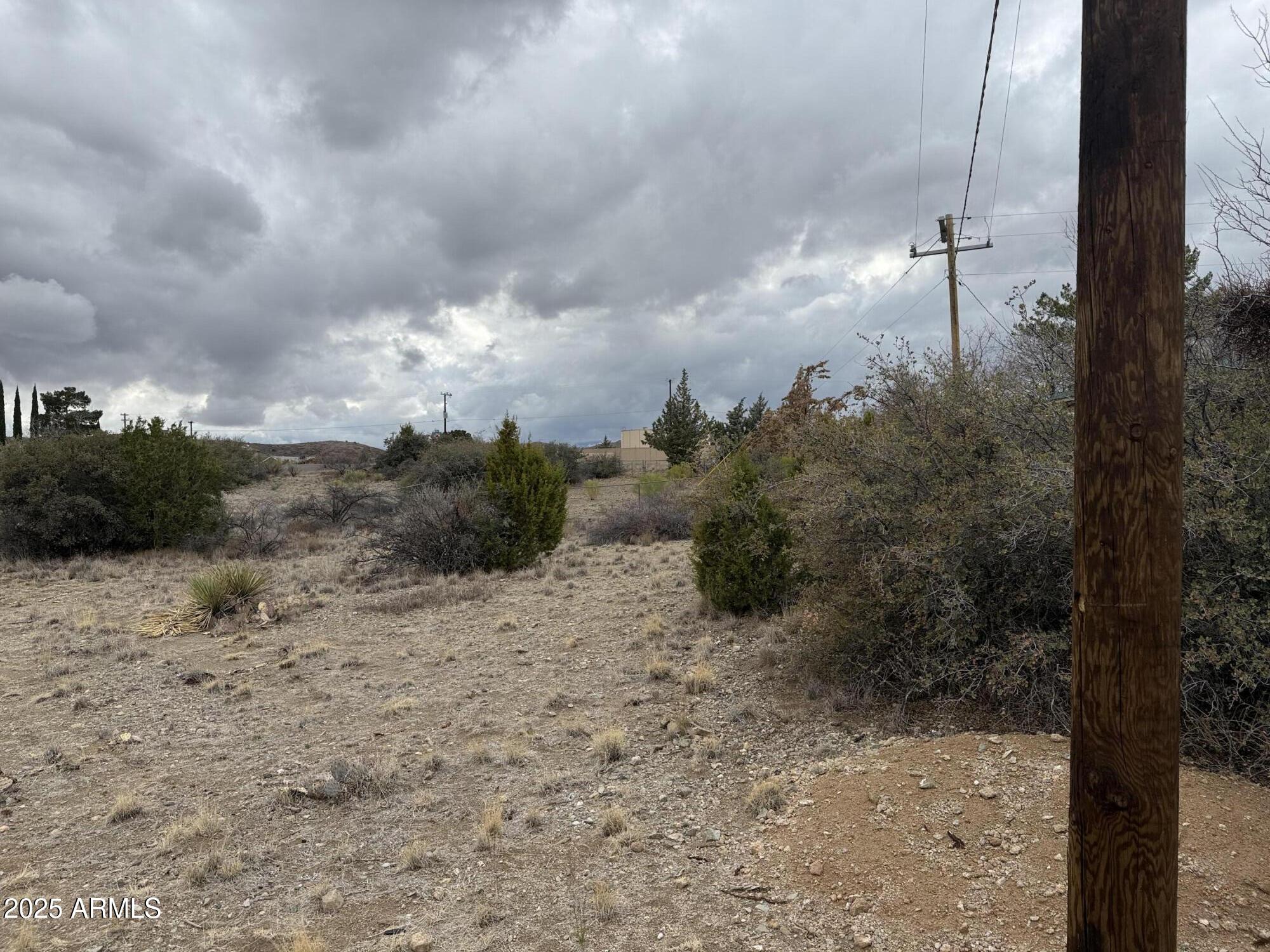 20546 East Antelope Road, Unit 905 Mayer, AZ 86333 - Photo 5 of 10 a view of a dry yard with trees