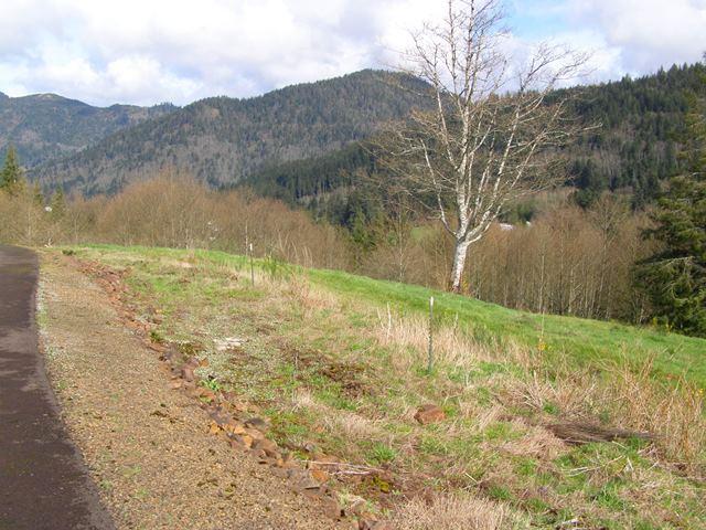 23 Skyview Road Tillamook, OR 97141 - Photo 30 of 41 P3180308