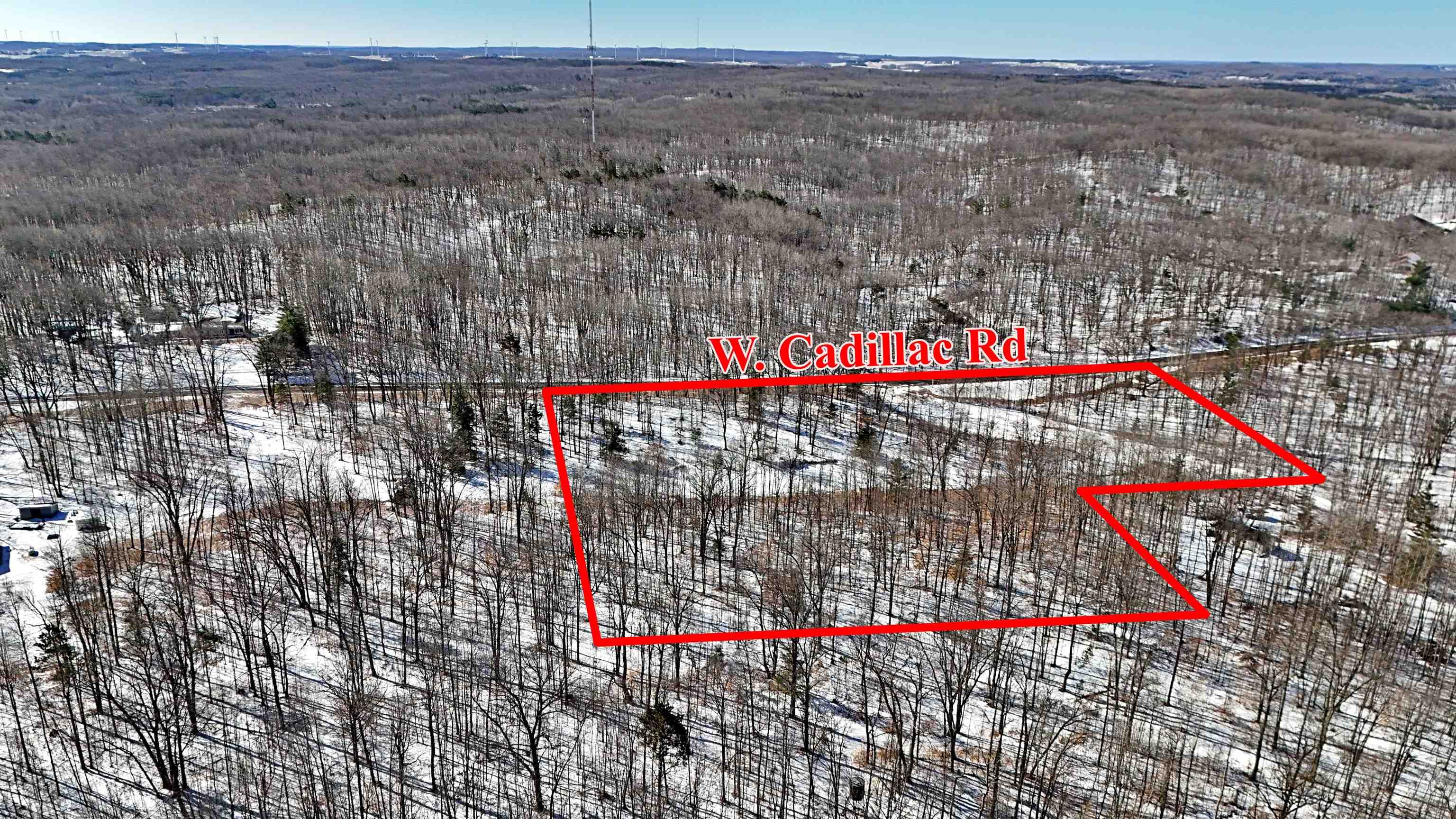 5955 South Brown Road Manton, MI 49663 - Photo 9 of 11