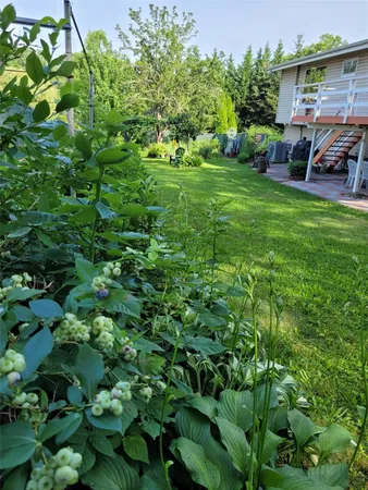 a view of backyard with seating space