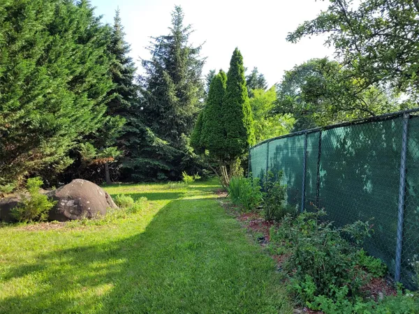 a view of a backyard with potted plants and large trees