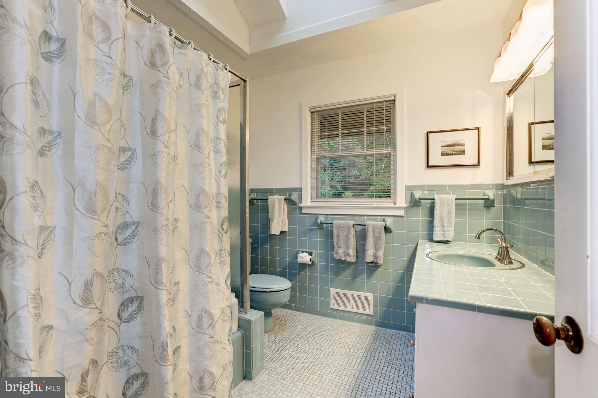 21210 Peach Tree Road Dickerson, MD 20842 - Photo 19 of 30 Hall full bathroom