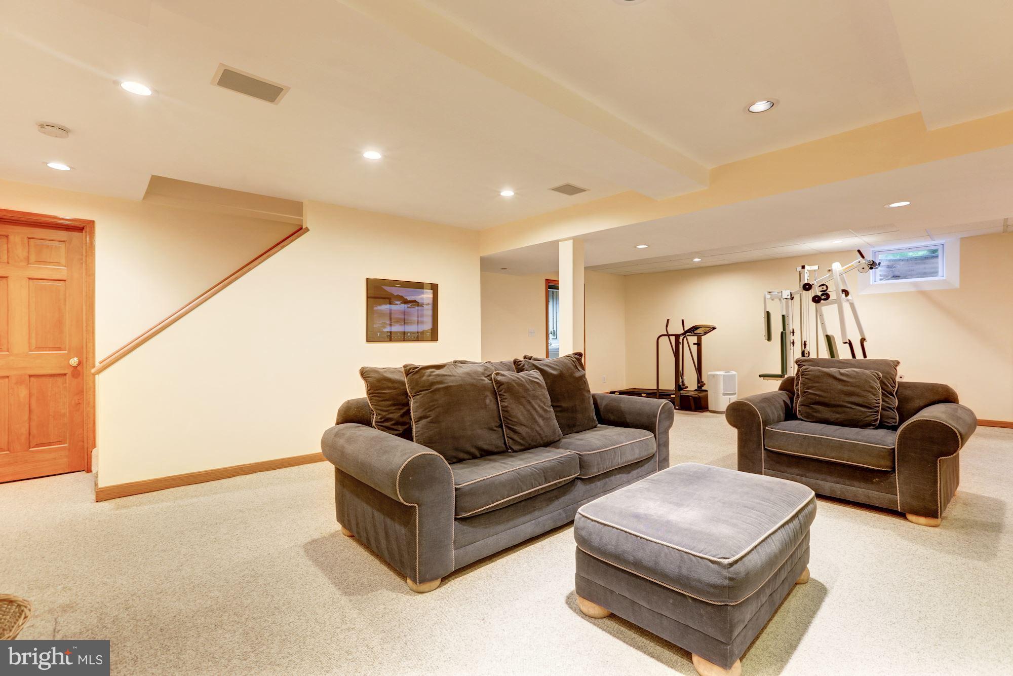21210 Peach Tree Road Dickerson, MD 20842 - Photo 21 of 30 Finished lower level