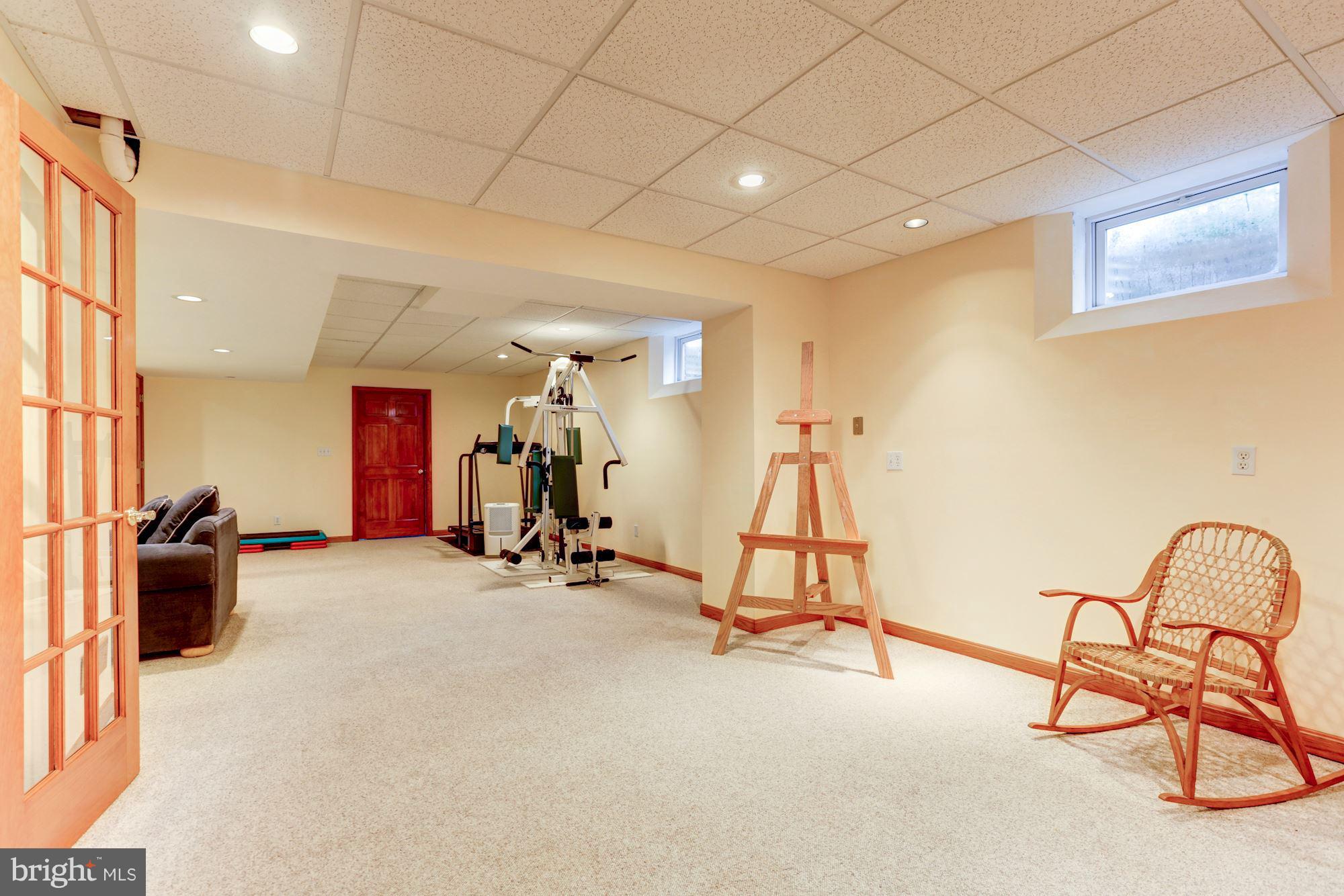 21210 Peach Tree Road Dickerson, MD 20842 - Photo 23 of 30 Light filled lower level