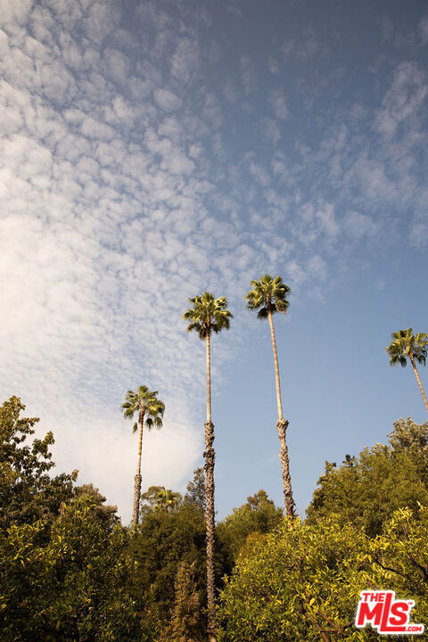1420 Cuyama Road Ojai, CA 93023 - Photo 26 of 32