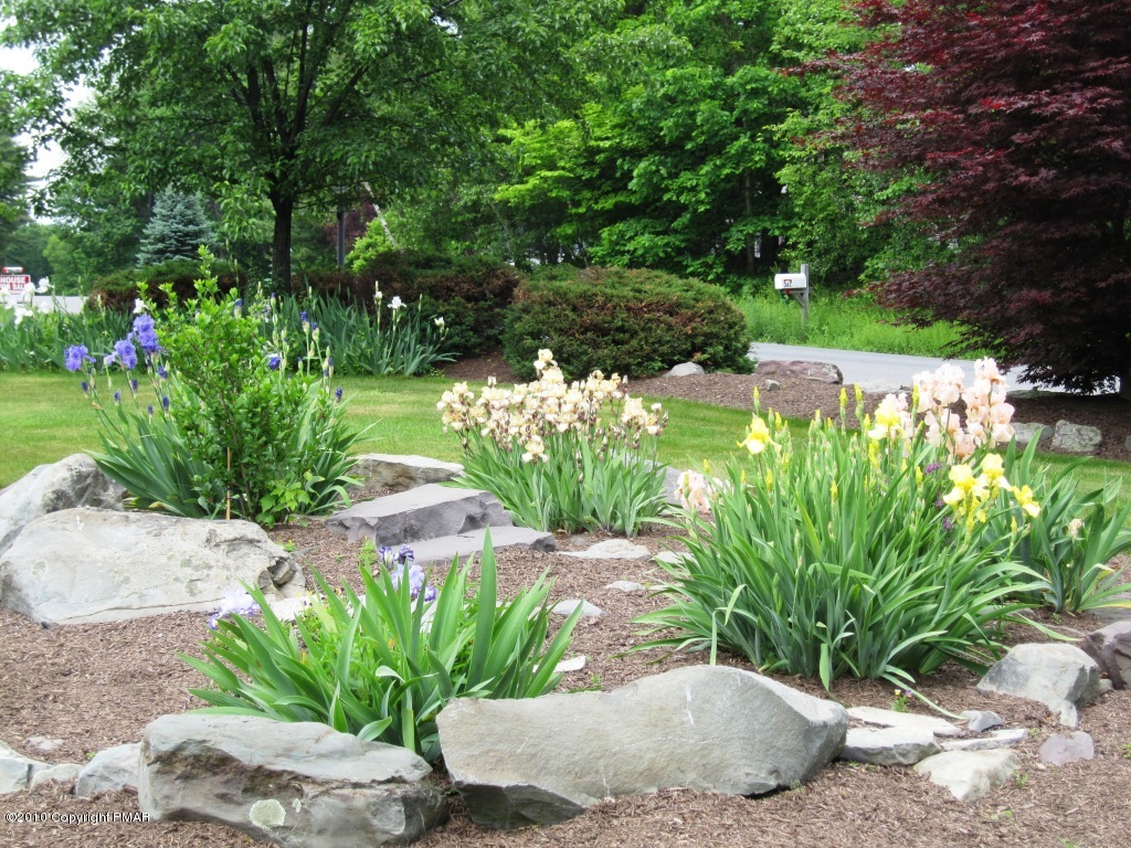 341 Tara Hill Road Bartonsville, PA 18321 - Photo 22 of 23 a view of a garden with plants and large trees