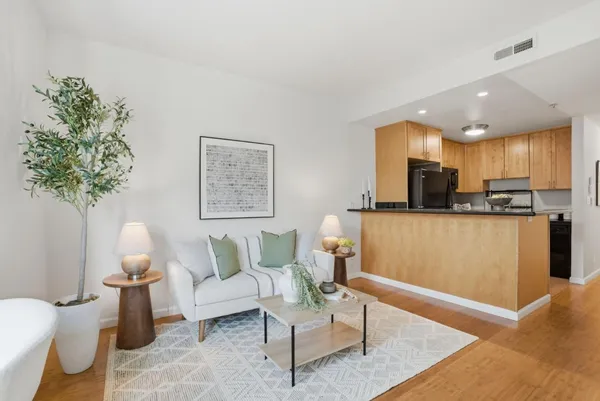 a living room with furniture and a potted plant
