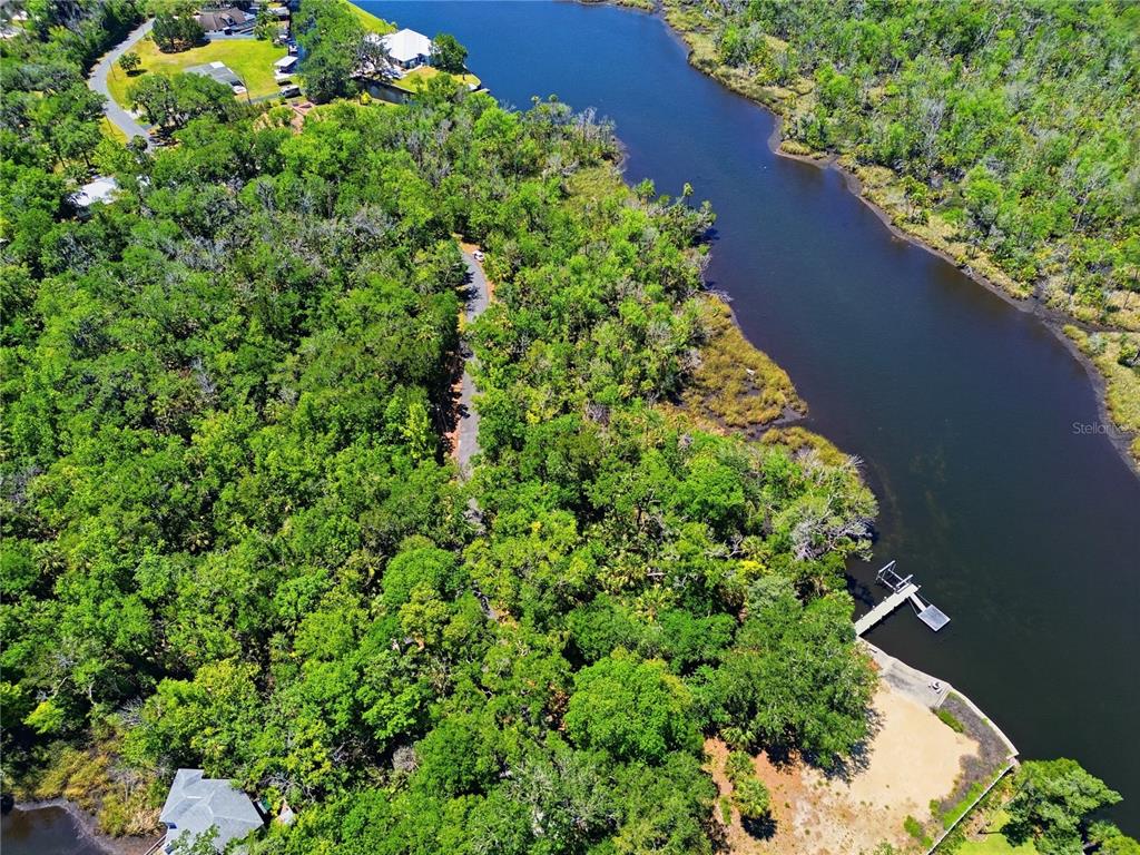 650 Miller Creek Road Crystal River, FL 34428 - Photo 6 of 9