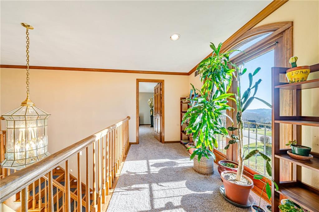 5600 Field Stream Drive Export, PA 15632 - Photo 34 of 43