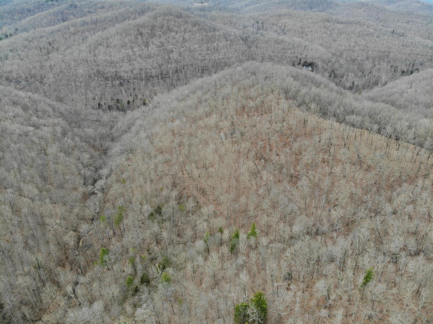 567 Chestnut Flat School Road McKee, KY 40447 - Photo 54 of 68 Photo 54