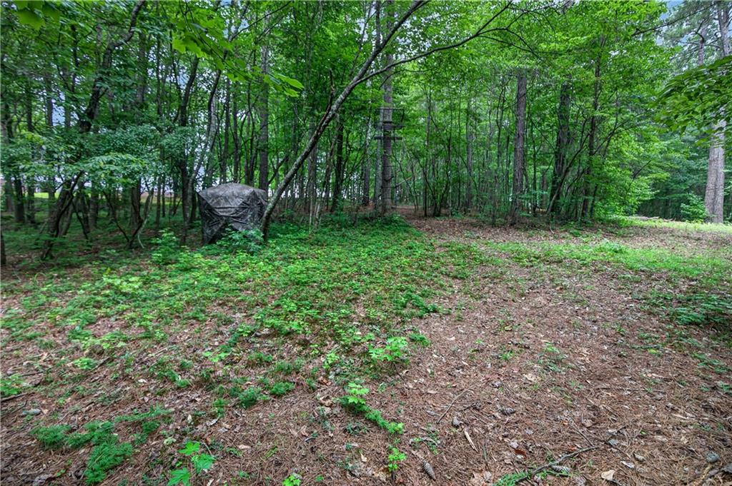 2404 Corinth Poseyville Road Bremen, GA 30110 - Photo 76 of 87