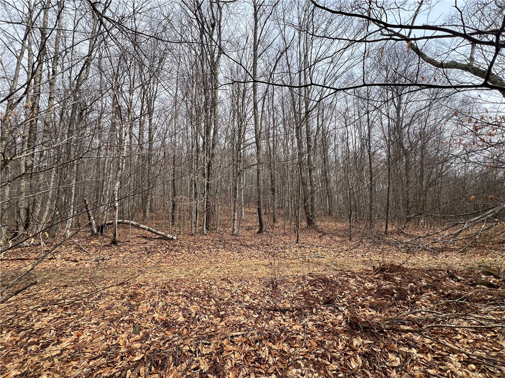 Upper Punchbowl Road Roscoe, NY 12776 - Photo 20 of 41