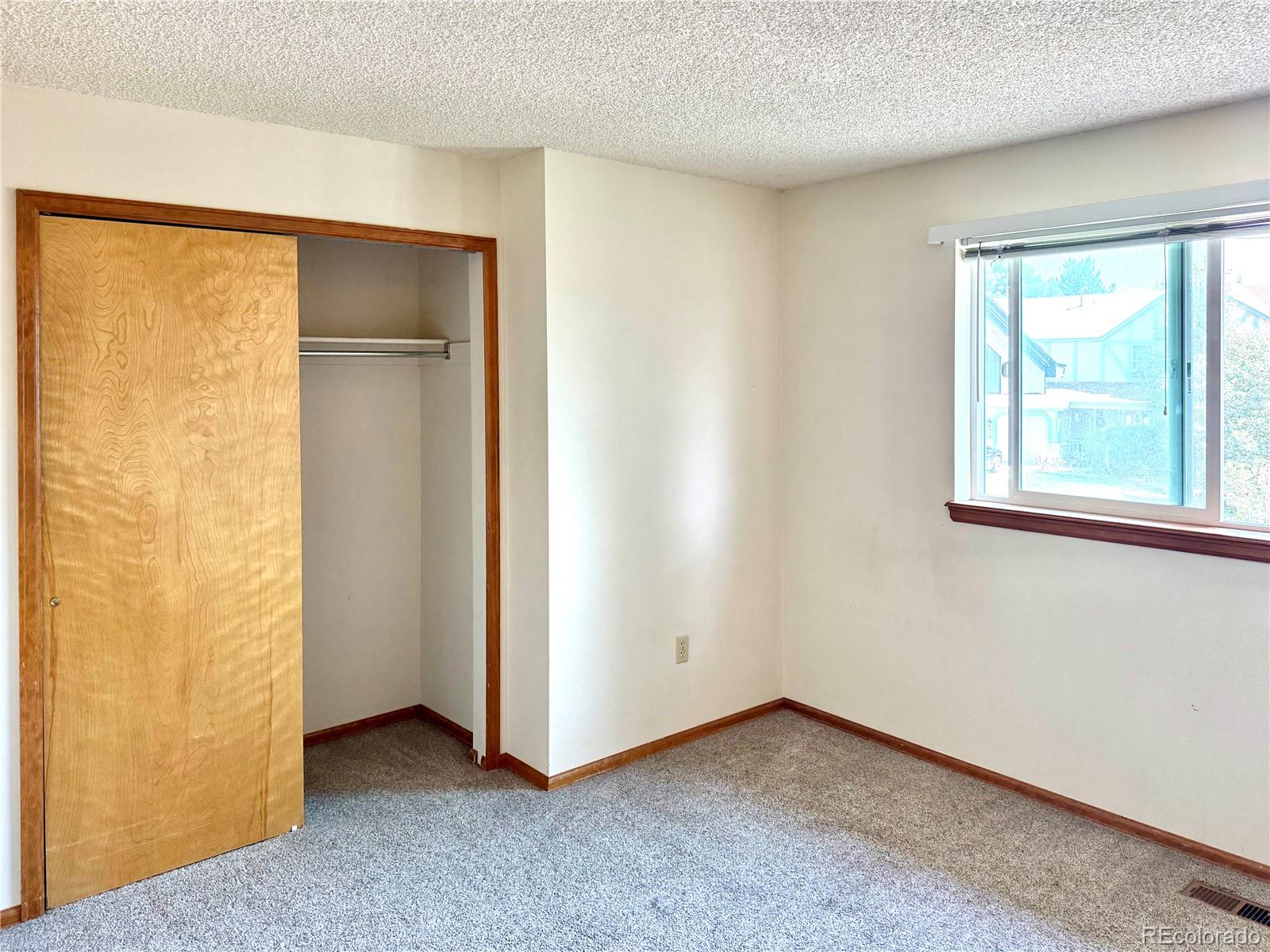 8909 Alpine Valley Drive Colorado Springs, CO 80920 - Photo 11 of 24