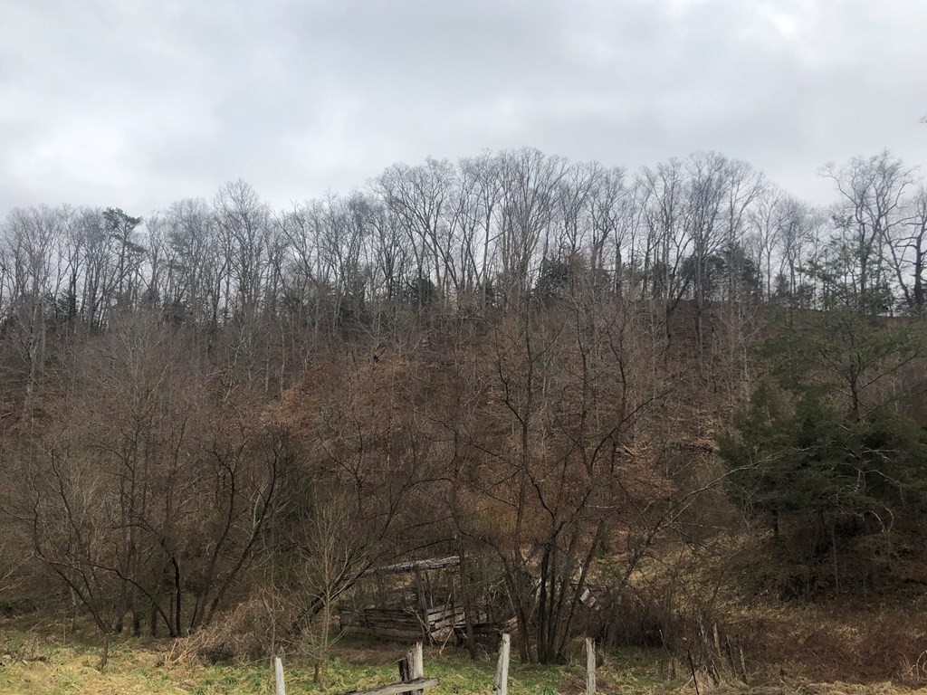 2 Lane Hollow Road Sevierville, TN 37876 - Photo 7 of 13 Gallery Image 7