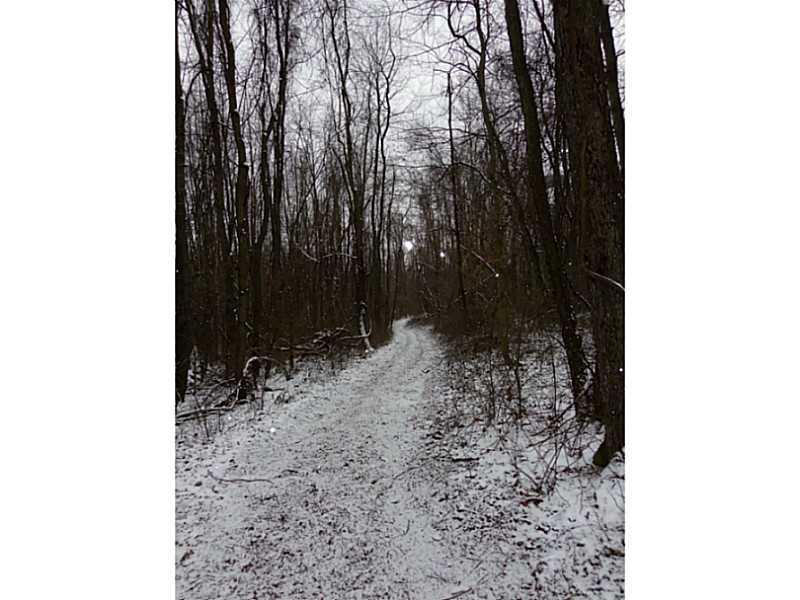 150 Donaldson Road Gibsonia, PA 15044 - Photo 25 of 25 Yard/Garden. walking trail through the property
