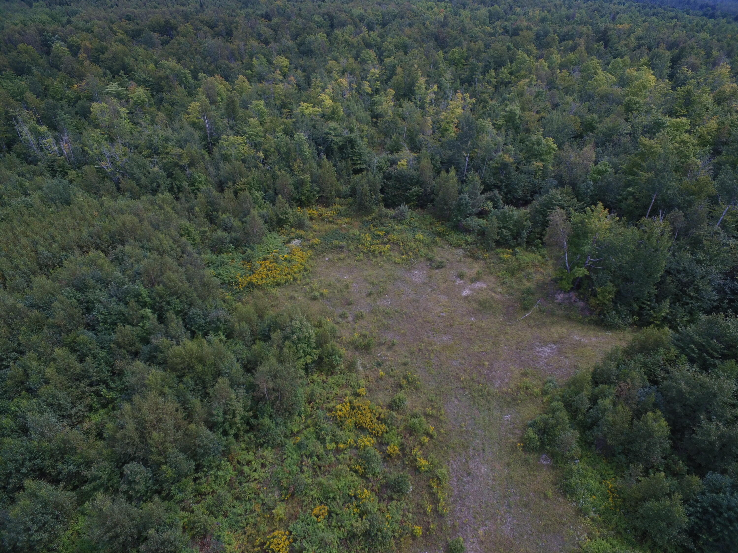 Lot 37 Off Freedom Way Springfield, ME 04487 - Photo 5 of 11 DJI_0508