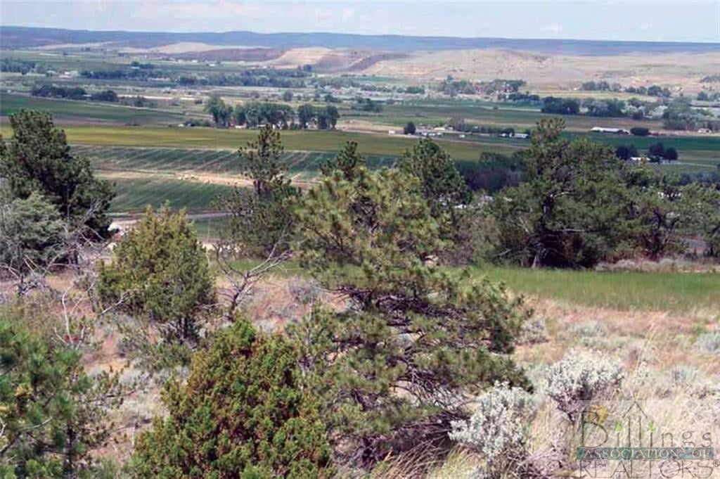 0 Old Mine Road Bridger, MT 59014 - Photo 1 of 1 Gallery Image 1