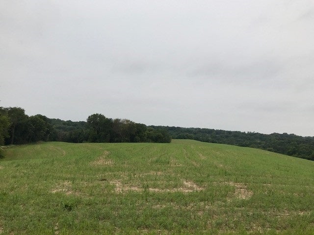 0 Frontage Road Hazel Green, WI 53811 - Photo 14 of 21 Gallery Image 14