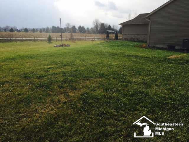 20950 Ida Center Road Deerfield, MI 49238 - Photo 21 of 25 20456559-20.JPG