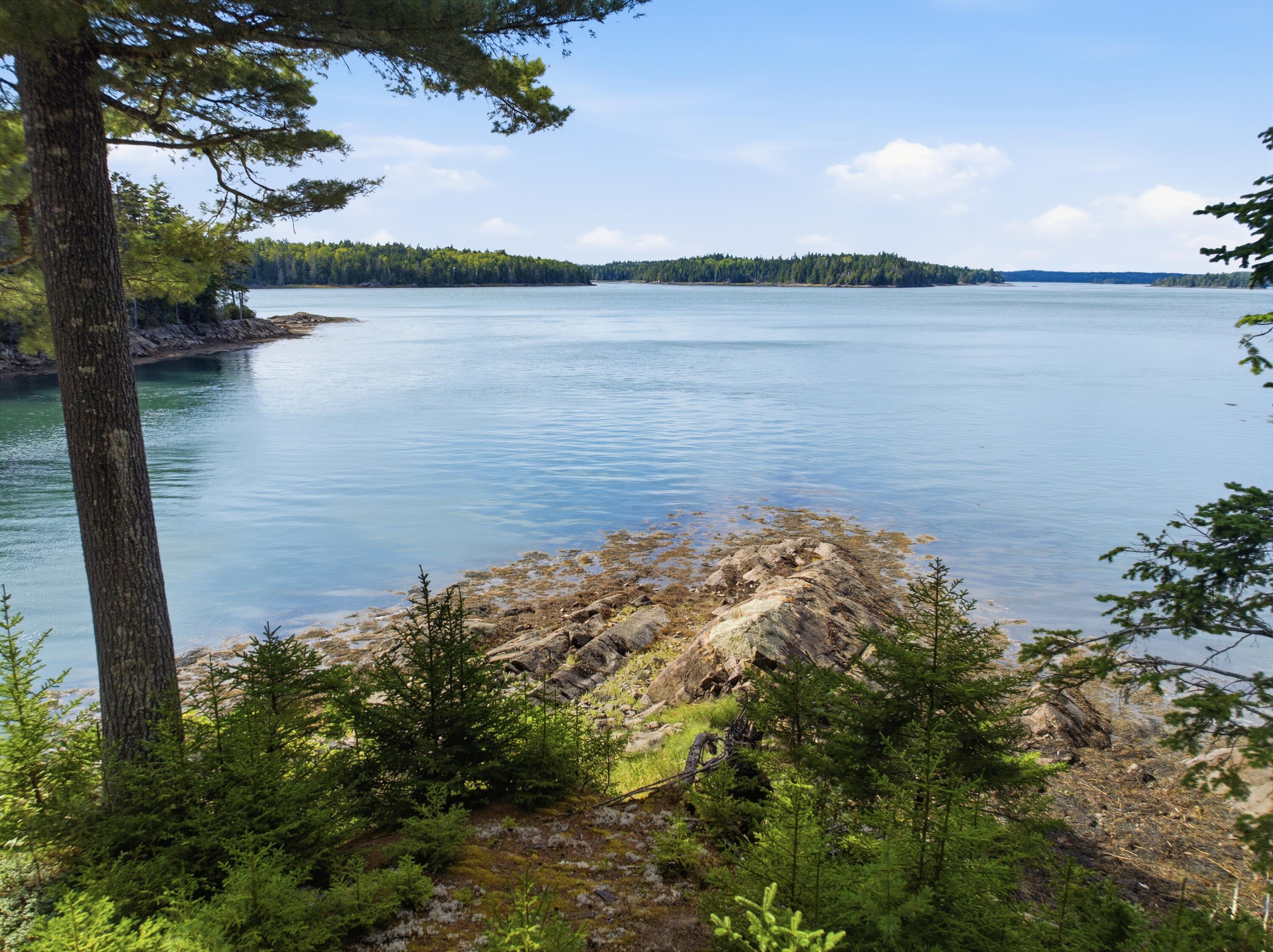 254 Coffins Neck Road Lubec, ME 04652 - Photo 30 of 33 254 Coffins Neck Road