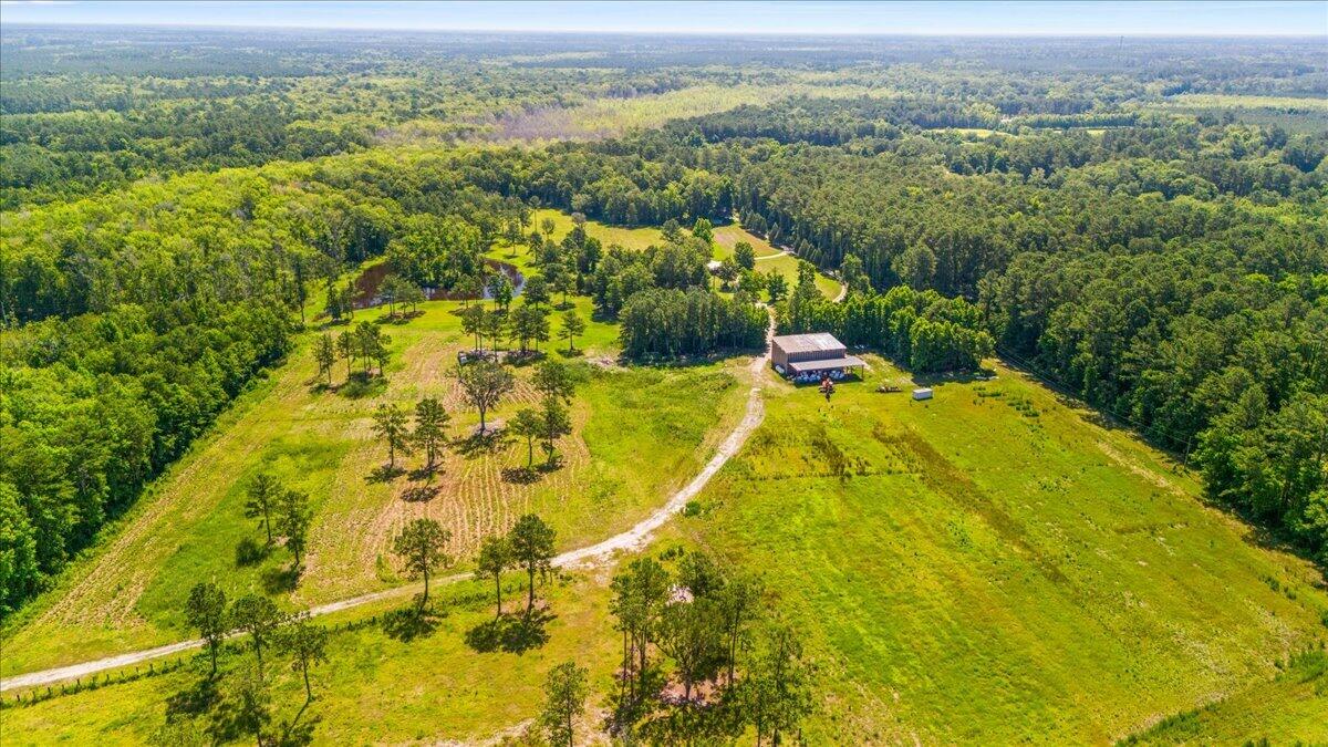 6397 Spring Grove Road Adams Run, SC 29426 - Photo 3 of 21 aerial from back of property