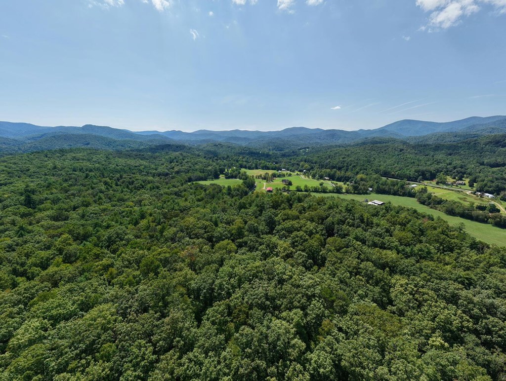 729 Collins Road Blairsville, GA 30512 - Photo 67 of 74