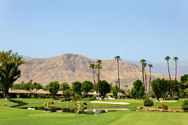 a view of a flower in front of house