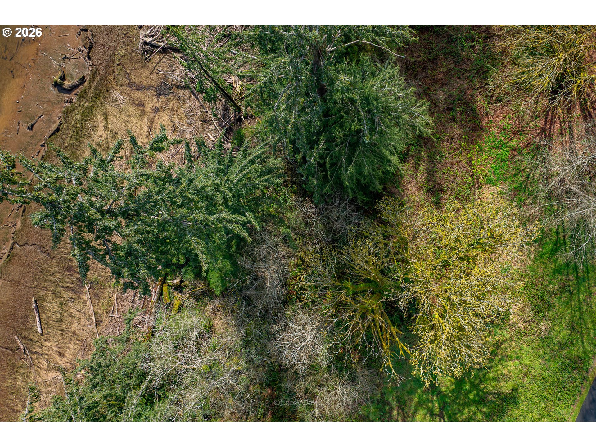 Riverway Drive, Unit 14 Nehalem, OR 97131 - Photo 11 of 19 a view of a bunch of trees