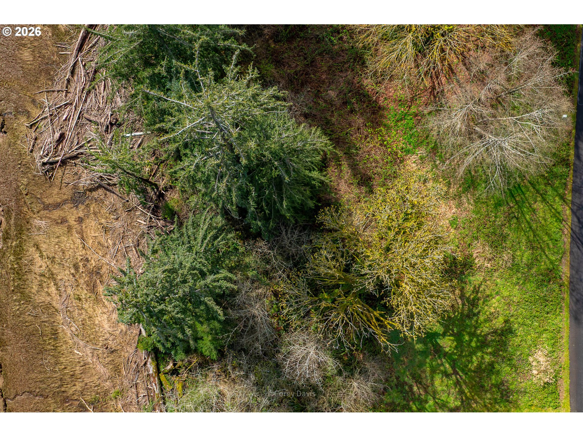 Riverway Drive, Unit 14 Nehalem, OR 97131 - Photo 12 of 19 a view of a forest