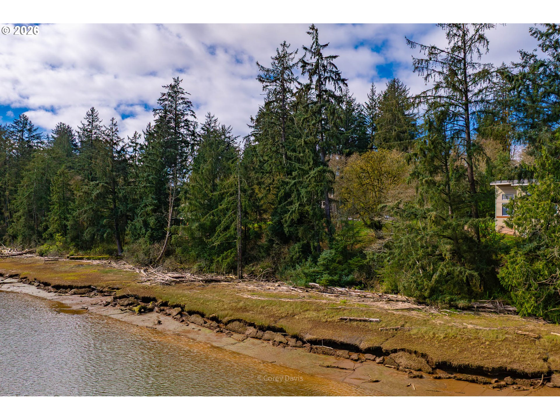 Riverway Drive, Unit 14 Nehalem, OR 97131 - Photo 15 of 19 a view of dirt yard with a large tree
