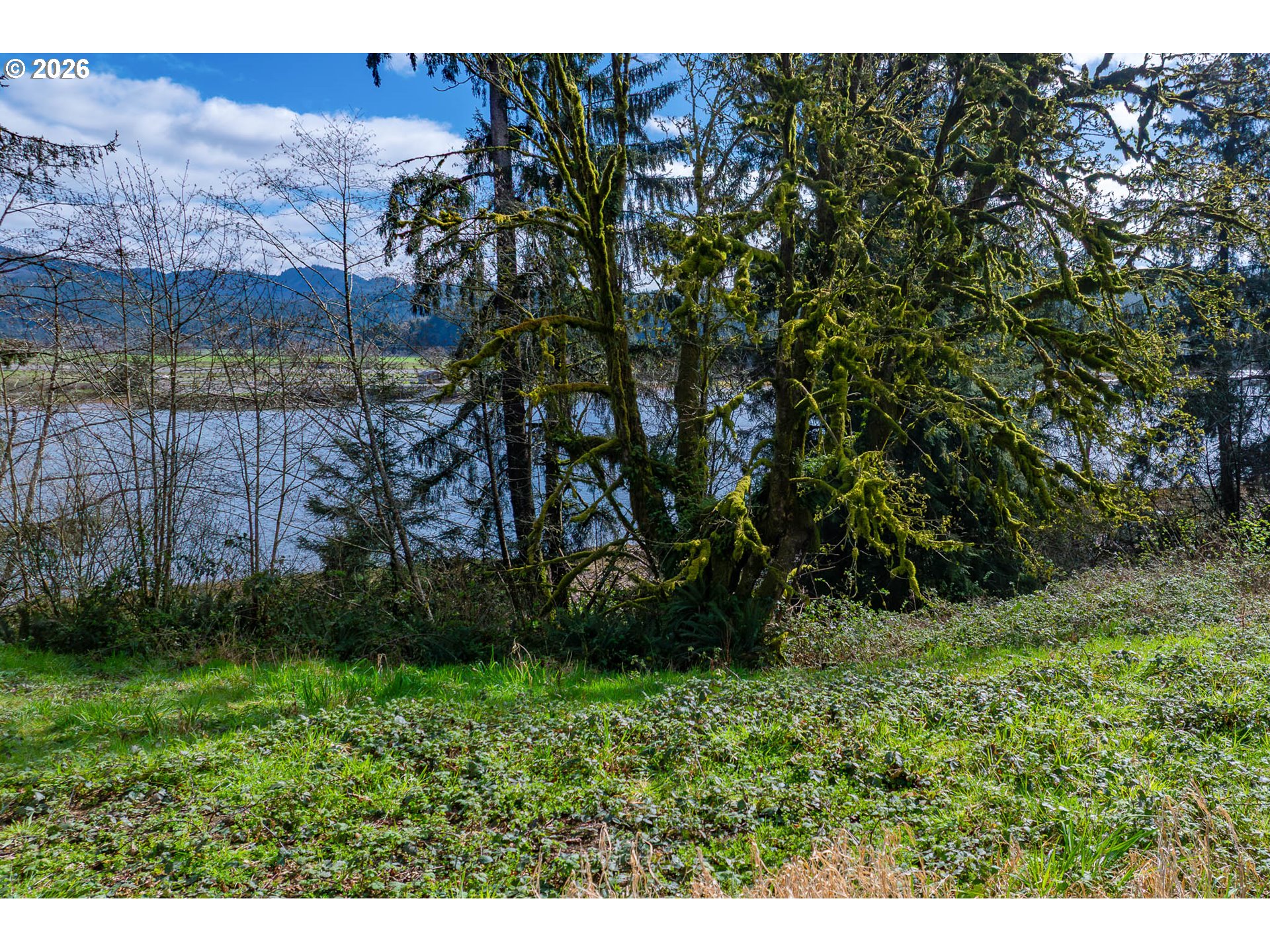 Riverway Drive, Unit 14 Nehalem, OR 97131 - Photo 6 of 19 a view of backyard with green space