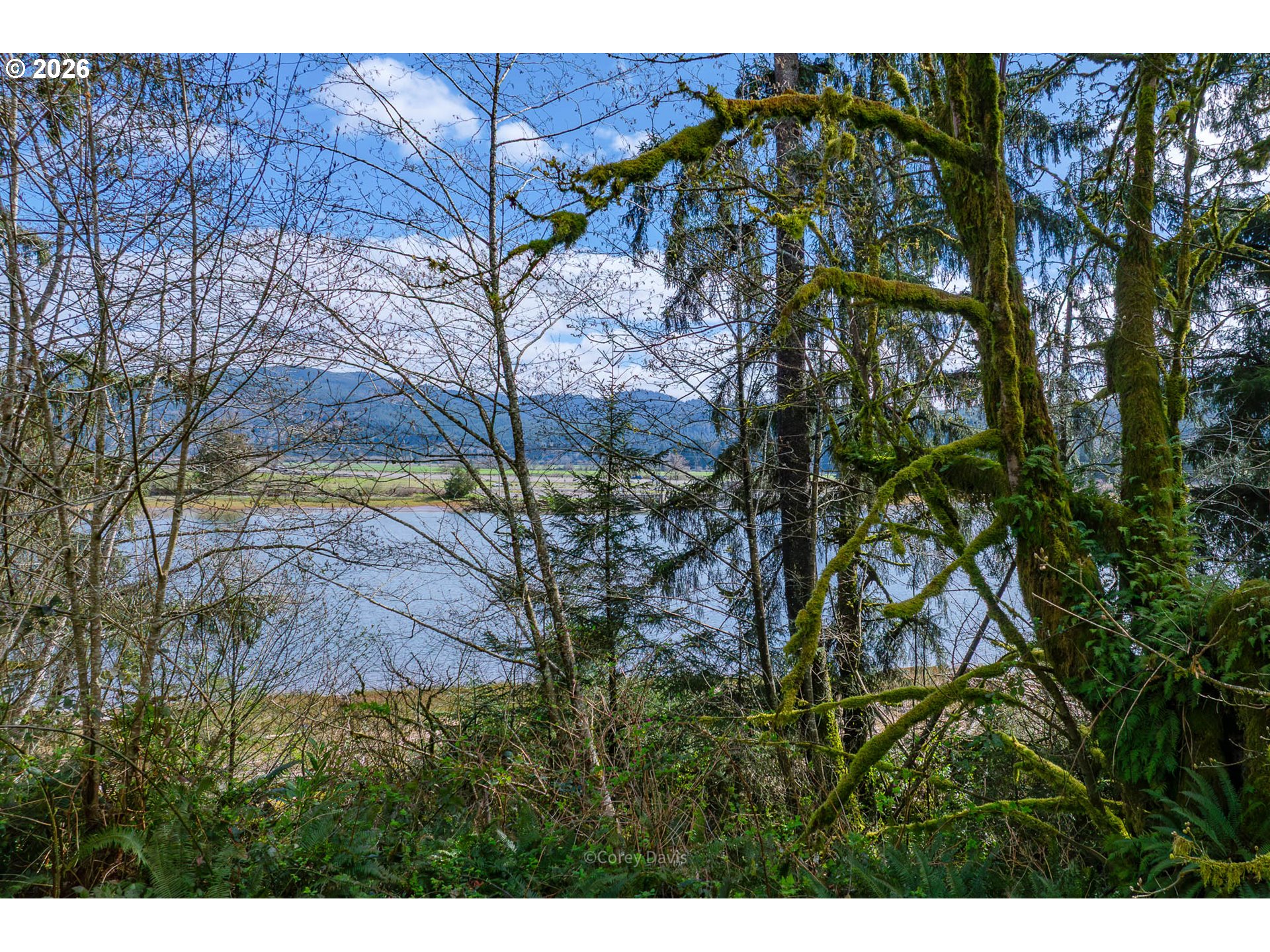 Riverway Drive, Unit 14 Nehalem, OR 97131 - Photo 9 of 19 a backyard of a house with lots of green space