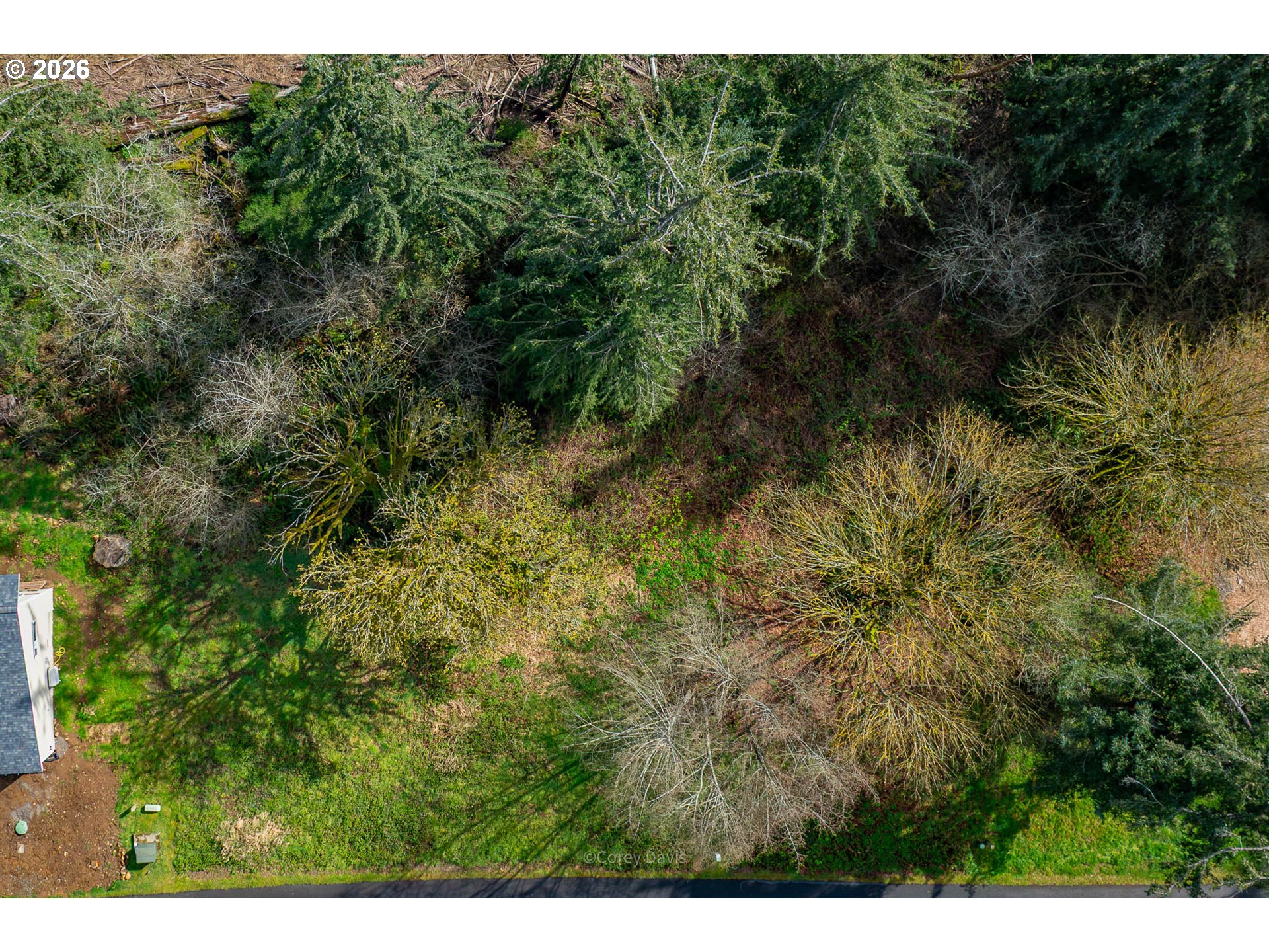 Riverway Drive, Unit 14 Nehalem, OR 97131 - Photo 10 of 19 a view of a forest