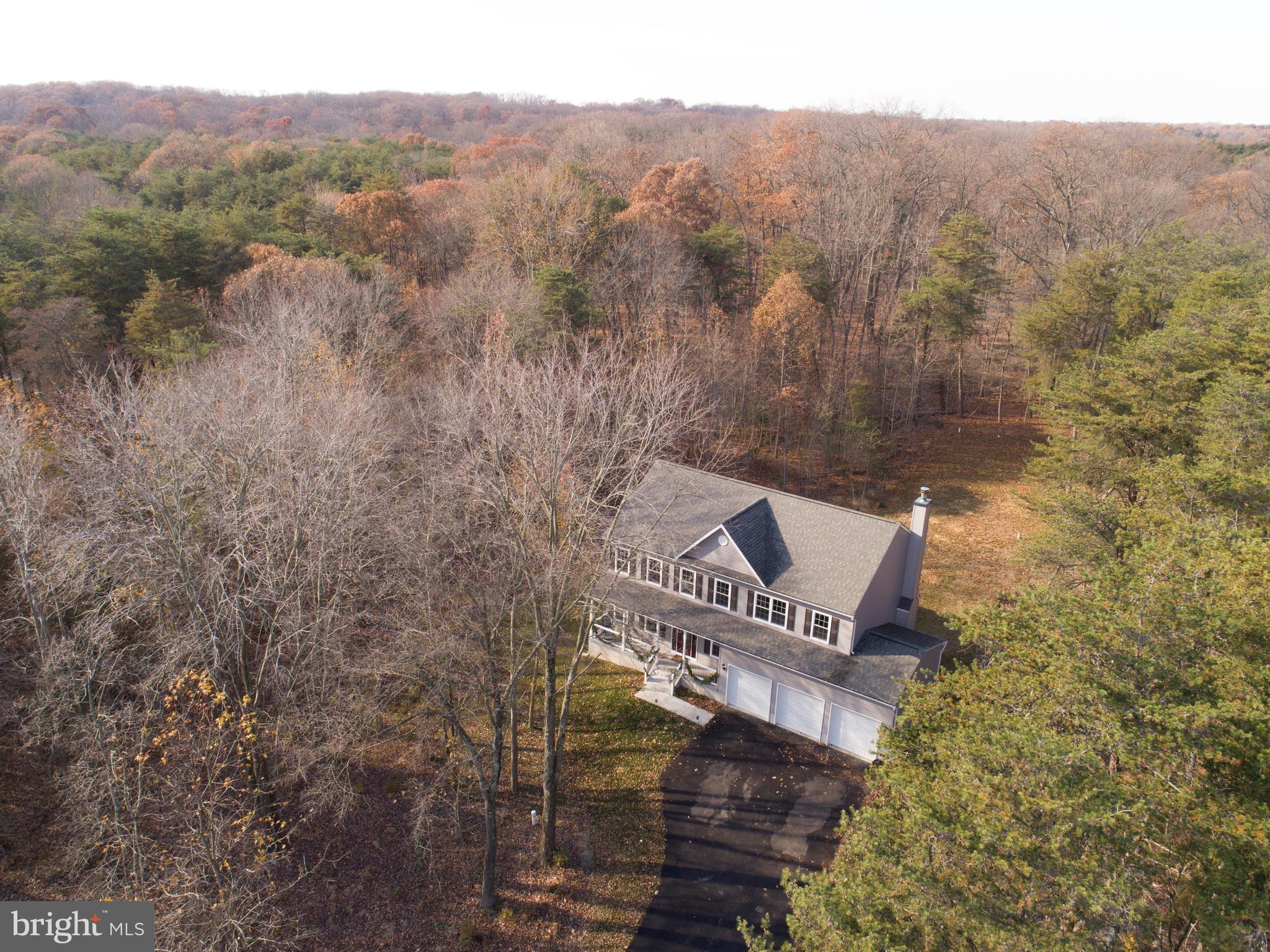 7720 Paradise Beach Road Pasadena, MD 21122 - Photo 3 of 23 Great privacy